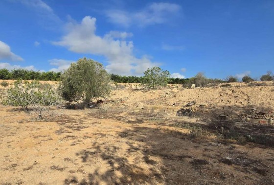 Revente - Country Property - Los Montesinos