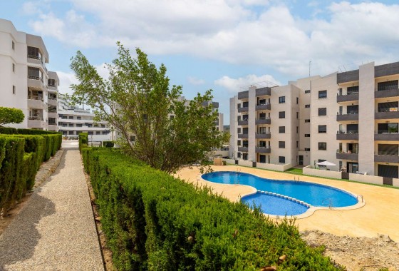 Resale - Apartment - San Miguel de Salinas