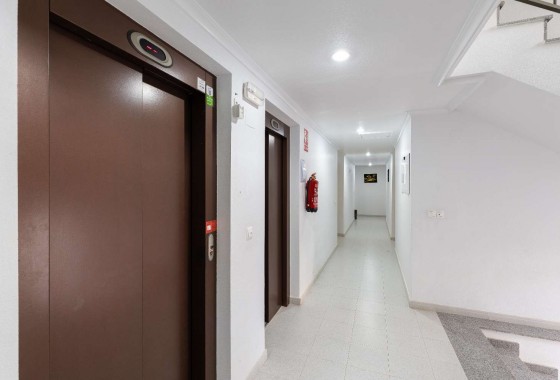 Resale - Apartment - San Miguel de Salinas