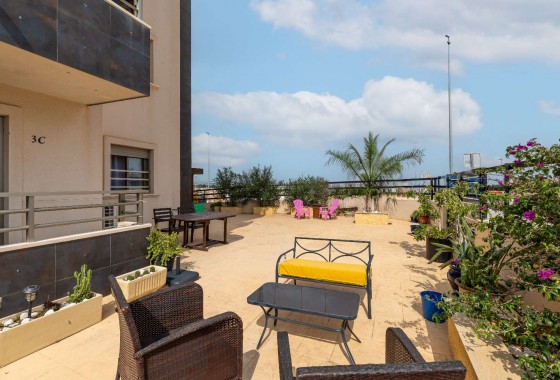Resale - Apartment - San Miguel de Salinas