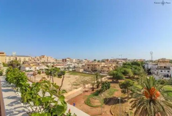Resale - Apartment - Orihuela Costa - Punta Prima