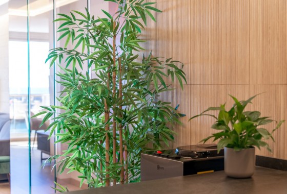 Segunda Mano - Apartamento - Altea