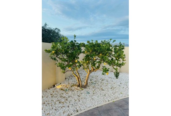 Resale - Detached Villa - Alfas del Pí - pueblo