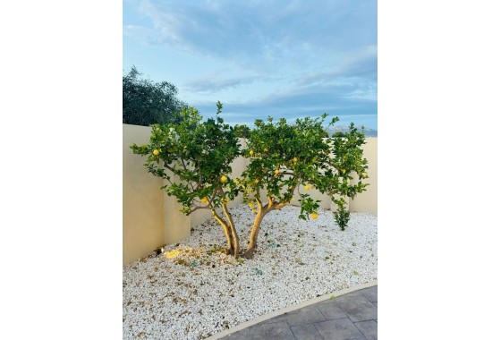 Resale - Detached Villa - Alfas del Pí - pueblo