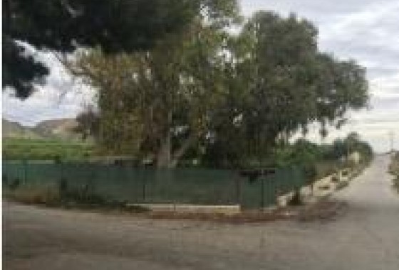 Revente - Country land - Jacarilla - Comunidad valenciana