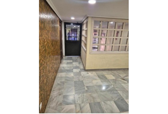 Revente - Appartement - Torrevieja - torrevieja