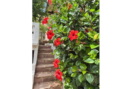 Revente - Villa - Gandia - Urbanizaciones