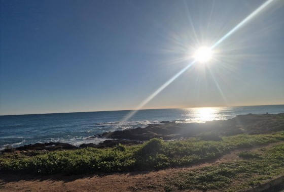 Revente - Appartement - Torrevieja - Cabo cervera