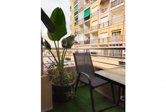 Segunda Mano - Apartamento - Torrevieja