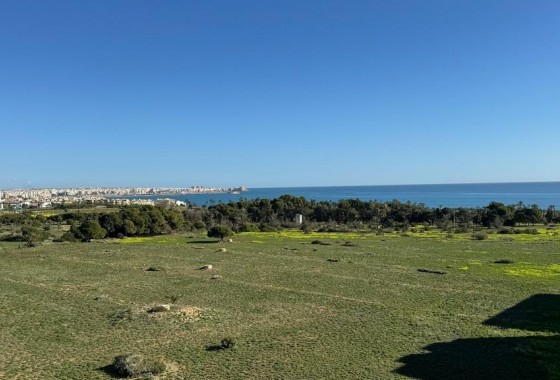 Revente - Appartement - Torrevieja - Punta prima