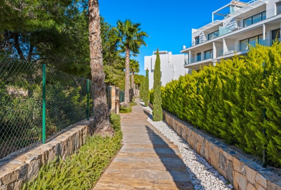 Segunda Mano - Apartamento - Las Colinas Golf - Las Colinas Golf Resort