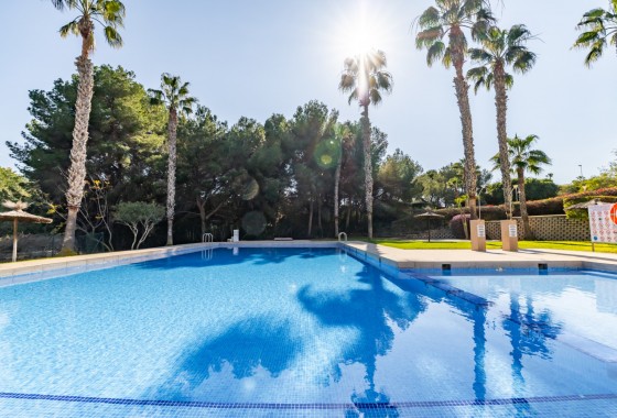 Segunda Mano - Apartamento - Orihuela Costa - Los Dolses*