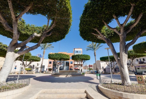 Obra nueva - Apartamento - San Fulgencio - Pueblo