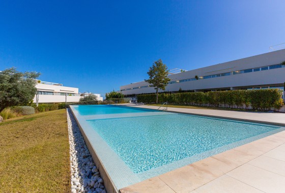 Segunda Mano - Apartamento - Torrevieja - Los balcones