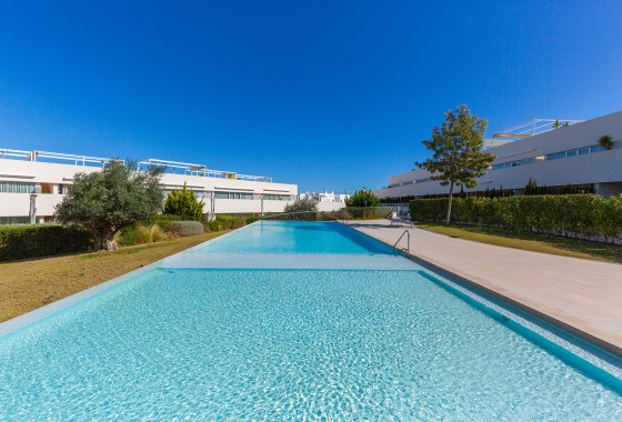 Segunda Mano - Apartamento - Torrevieja - Los balcones