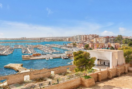 Segunda Mano - Apartamento - Torrevieja - Paseo maritimo