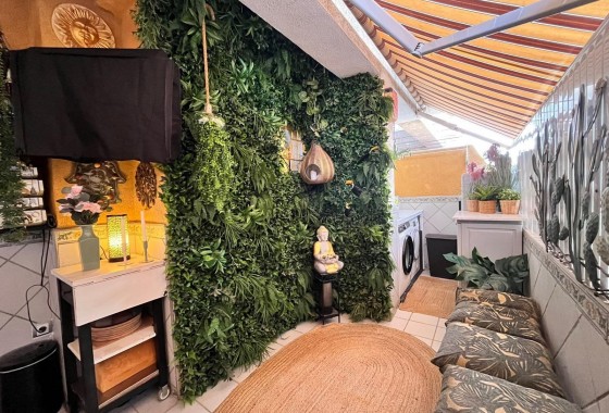 Segunda Mano - Apartamento - Torrevieja - torrevieja