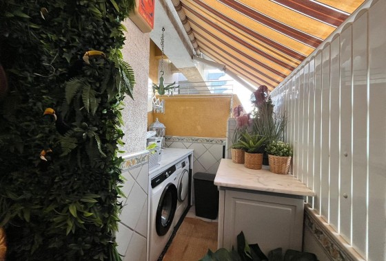 Segunda Mano - Apartamento - Torrevieja - torrevieja