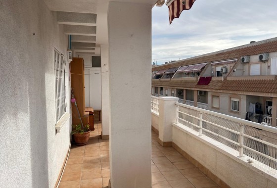 Segunda Mano - Apartamento - Torrevieja - Estacion de autobuses