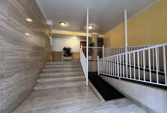 Segunda Mano - Apartamento - Torrevieja - Estacion de autobuses