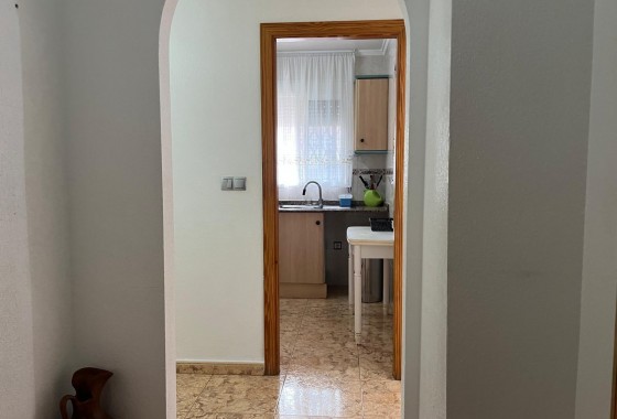 Segunda Mano - Apartamento - Torrevieja - Estacion de autobuses