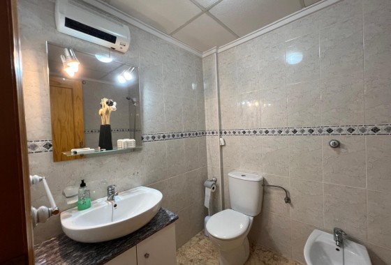 Segunda Mano - Apartamento - Torrevieja - Estacion de autobuses