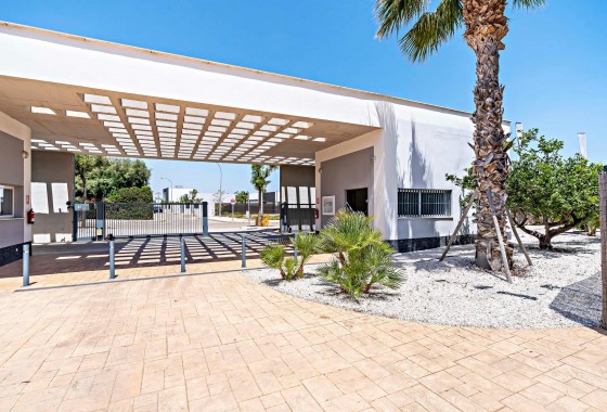 Nouvelle construction - Appartement - Vera - El Playazo