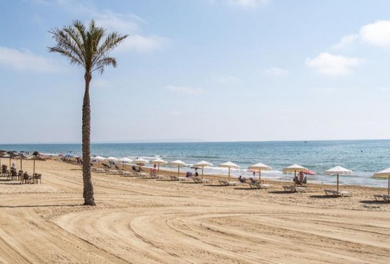 Nouvelle construction - Appartement - Guardamar del Segura - Pueblo