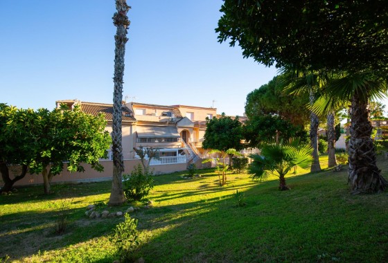 Revente - Appartement - Torrevieja - Torreblanca