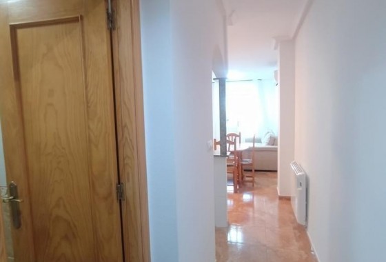 Resale - Apartment - Torrevieja - torrevieja