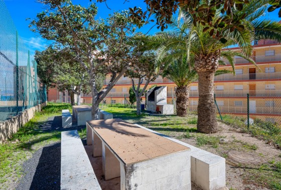 Revente - Appartement - Arenales del Sol - Segunda linea playa