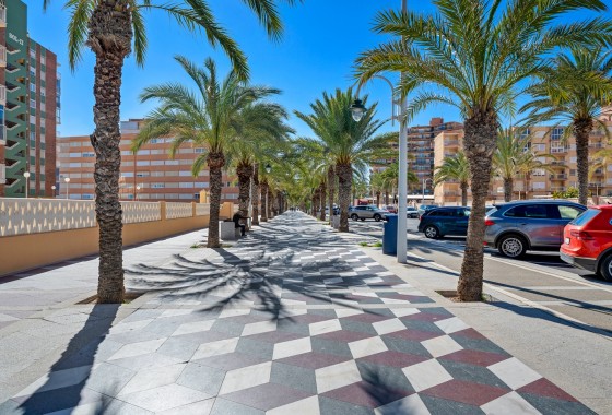 Revente - Appartement - Arenales del Sol - Segunda linea playa