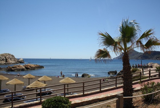 Nouvelle construction - Maison de ville - La Union - centro