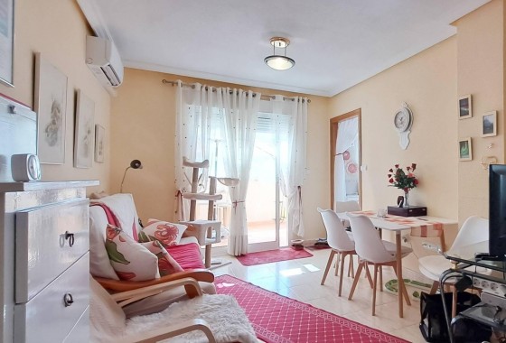 Segunda Mano - Apartamento - Torrevieja - torrevieja