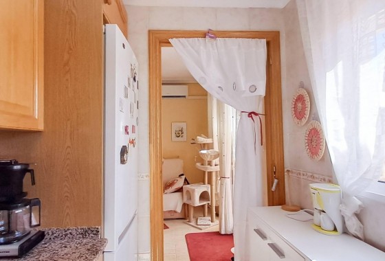 Segunda Mano - Apartamento - Torrevieja - torrevieja