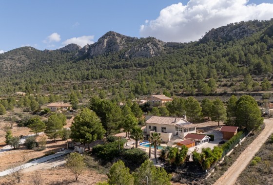 Resale - Villa - Detached - La Zarza