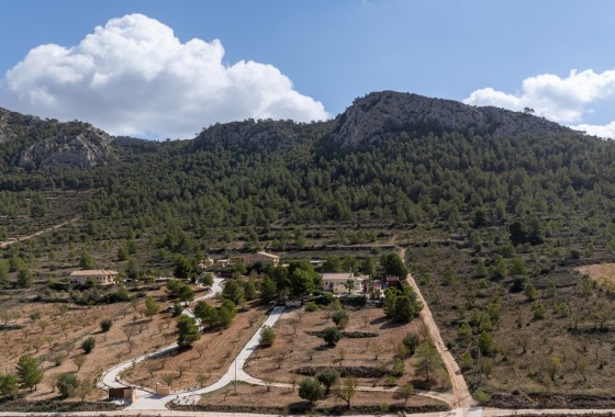 Resale - Villa - Detached - La Zarza