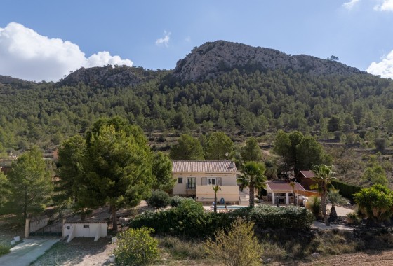 Resale - Villa - Detached - La Zarza