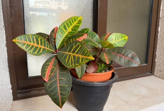 Revente - Appartement - Orihuela Costa - Lomas de Cabo Roig