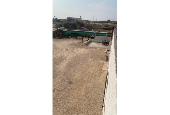 Revente - finca - Guardamar del Segura - Pueblo