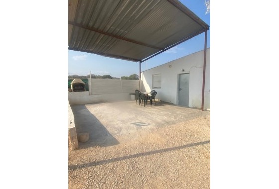 Revente - finca - Guardamar del Segura - Pueblo