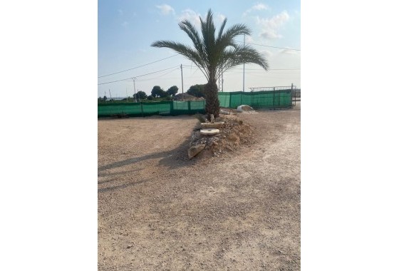 Revente - finca - Guardamar del Segura - Pueblo