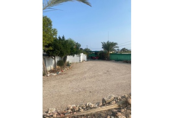 Revente - finca - Guardamar del Segura - Pueblo