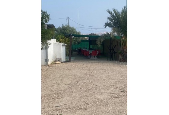 Revente - finca - Guardamar del Segura - Pueblo