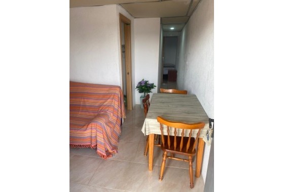 Revente - finca - Guardamar del Segura - Pueblo