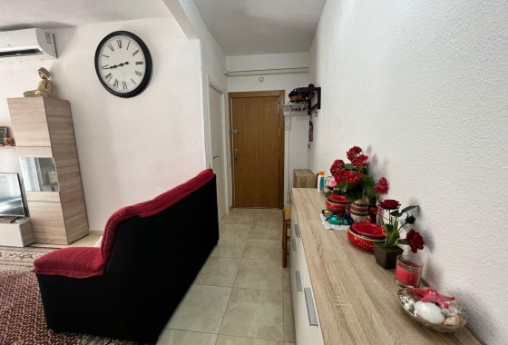 Revente - Appartement - Torrevieja - Estacion de autobuses