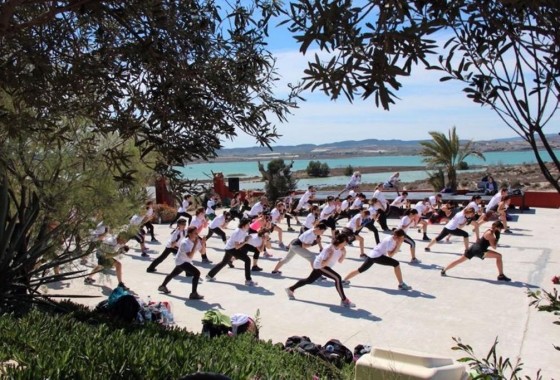 Revente - finca - Orihuela Costa - Torremendo