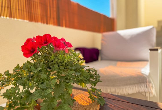 Segunda Mano - Bungalow - Los Altos