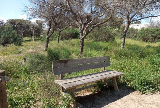 Resale - Bungalow - Guardamar del Segura - Urbanizaciones