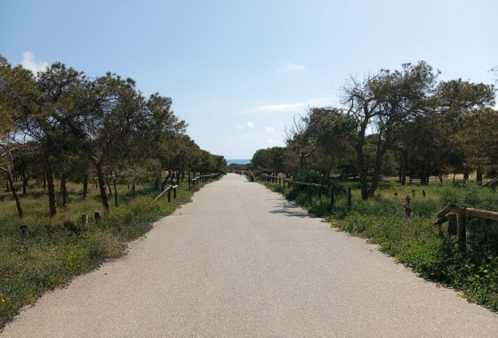 Resale - Bungalow - Guardamar del Segura - Urbanizaciones